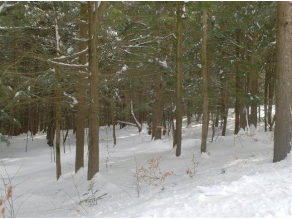 1 Maple Ridge Road Chester, VT 05143 - Photo 1 of 1