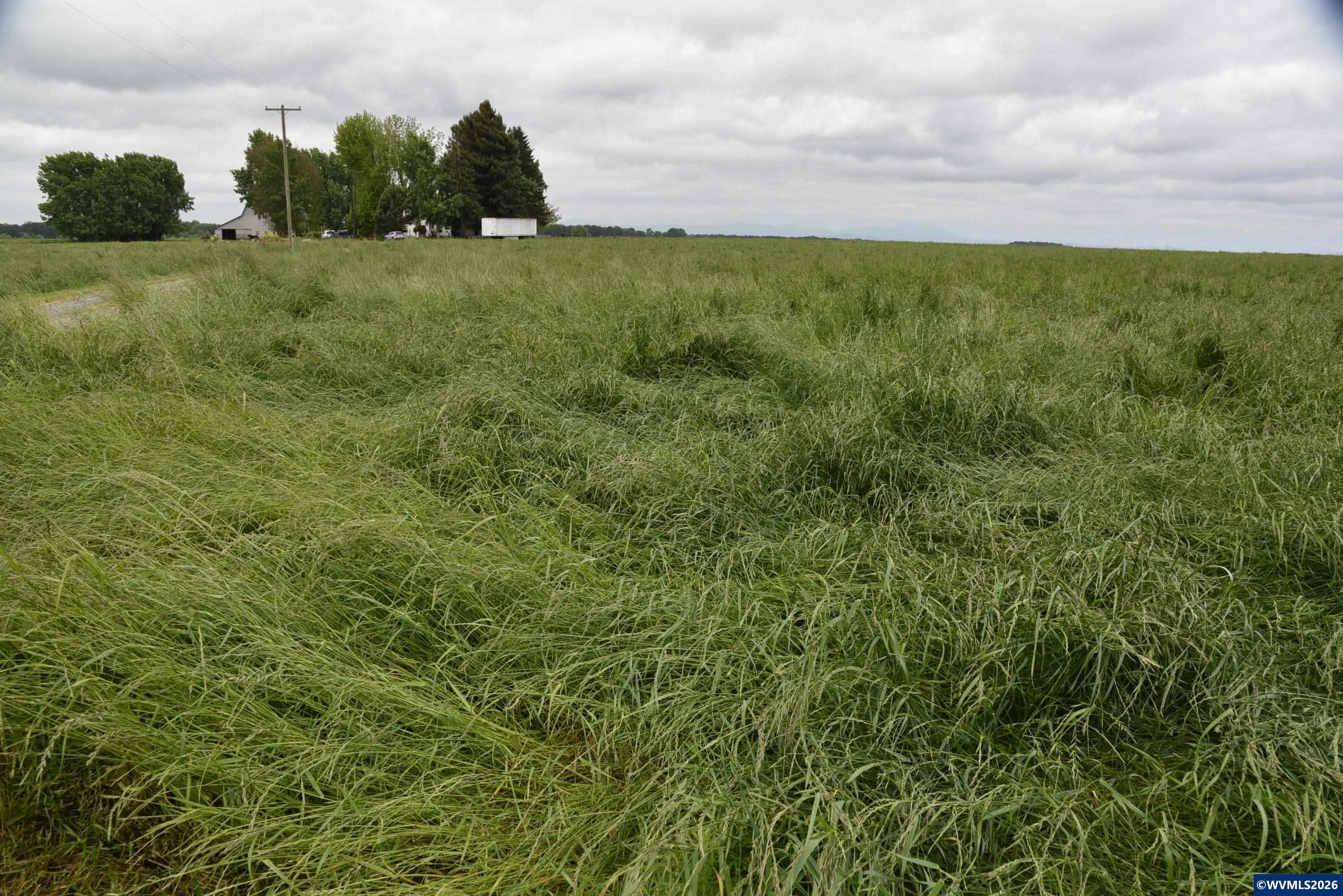 25258 Rowland Road Harrisburg, OR 97446 - Photo 16 of 24 a view of a field of grass and trees