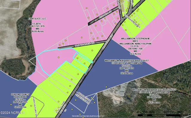 $780,000 | 198 Magnolia Extension, Kenansville, NC 28349