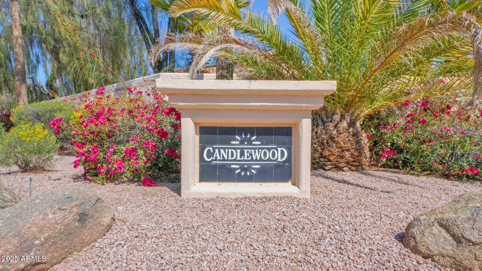 618 West Tumbleweed Road Gilbert, AZ 85233 - Photo 6 of 35 2-web-or-mls-_KLP0174
