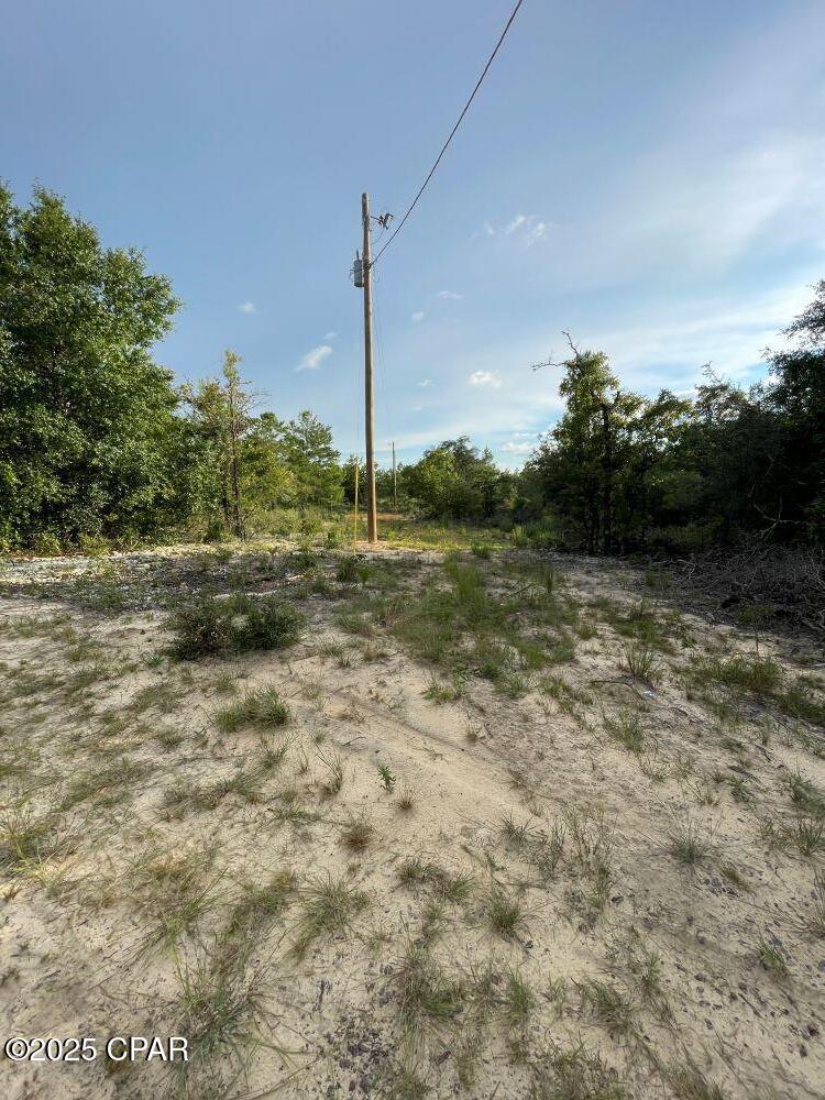 20535 Ring Road Fountain, FL 32438 - Photo 4 of 14 Gallery Image 4