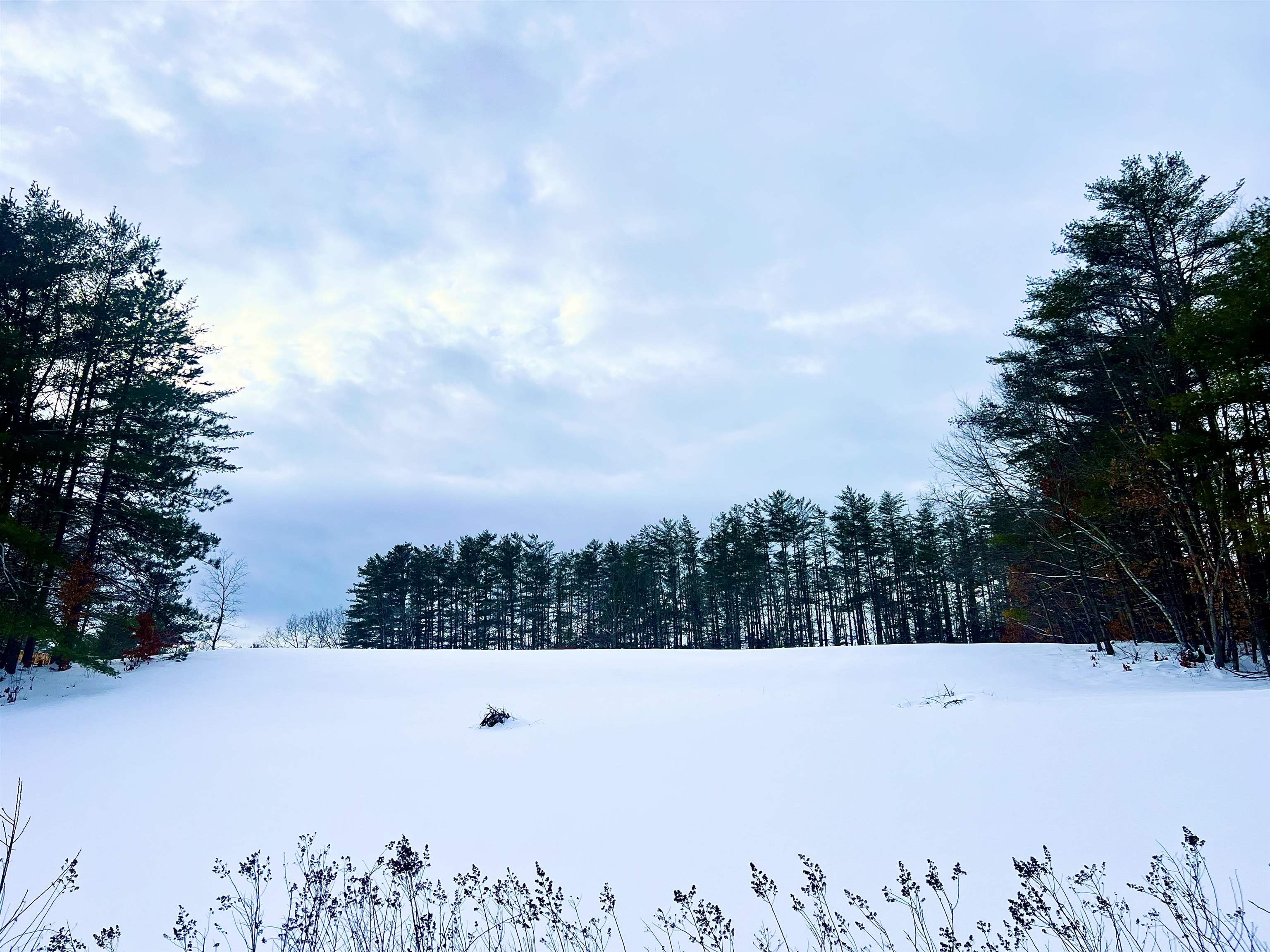 200 Walker Road Alexandria, NH 03222 - Photo 7 of 17