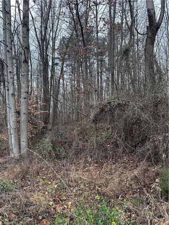 $565,000 | 0 South State Street, Yadkinville, NC 27055