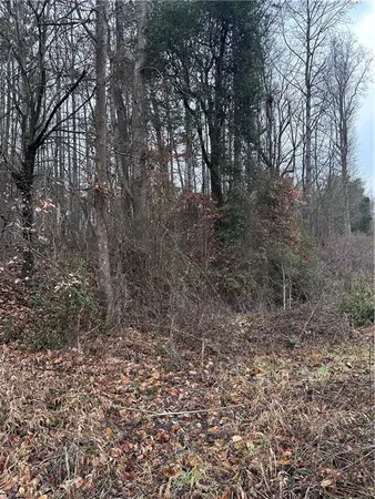 $565,000 | 0 South State Street, Yadkinville, NC 27055