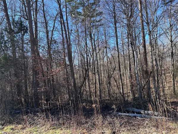 $565,000 | 0 South State Street, Yadkinville, NC 27055