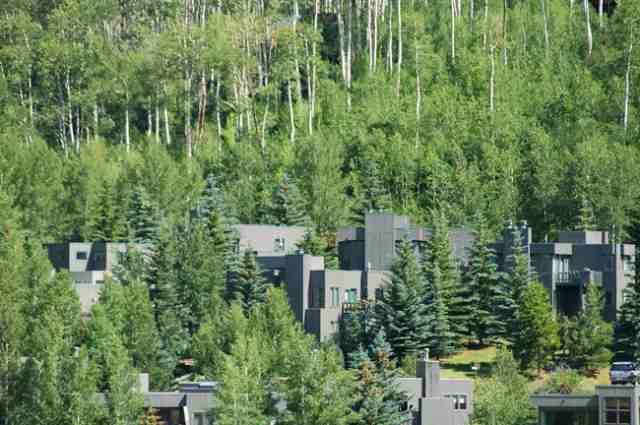 121 Meadow Ranch Road Snowmass Village, CO 81615 - Photo 1 of 7 Primary Photo