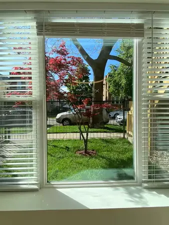 $2,950 | 2943 North Gresham Avenue, Unit 1, Chicago, IL 60618