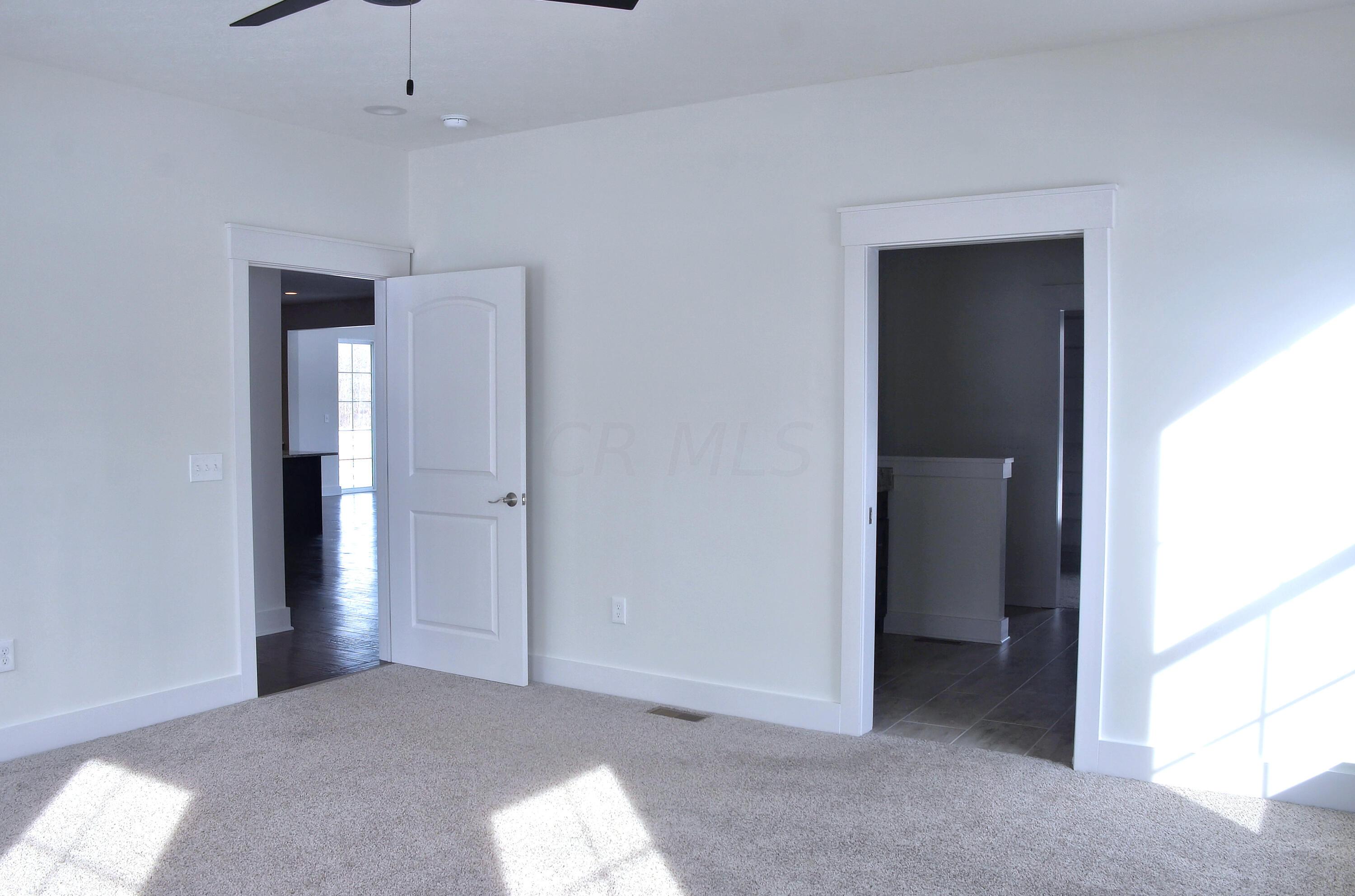 24575 Patrick-Brush Run Road Marysville, OH 43040 - Photo 41 of 99 1st floor owner's suite 3