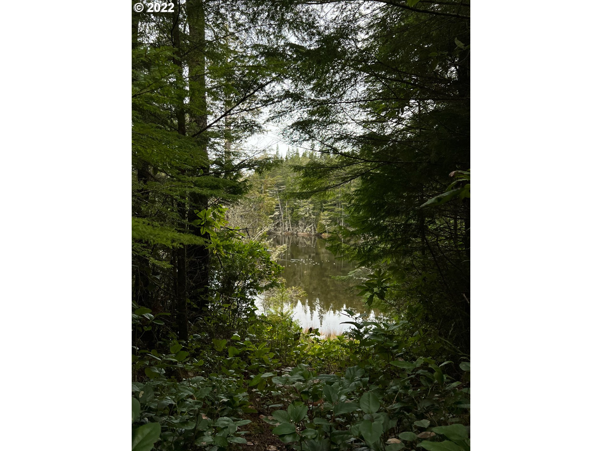 69298 Joshua Road North Bend, OR 97459 - Photo 23 of 32 Gallery Image 23