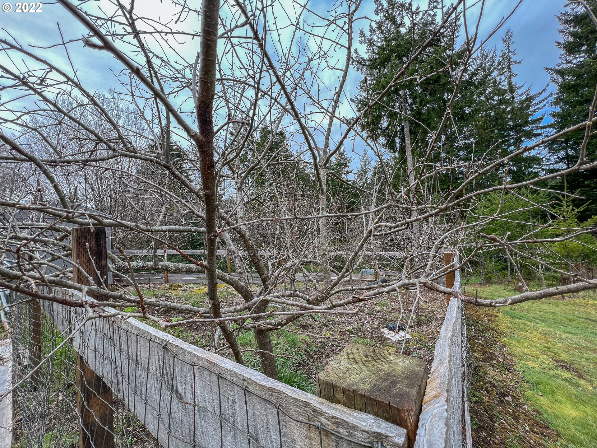 69298 Joshua Road North Bend, OR 97459 - Photo 29 of 32 Gallery Image 29