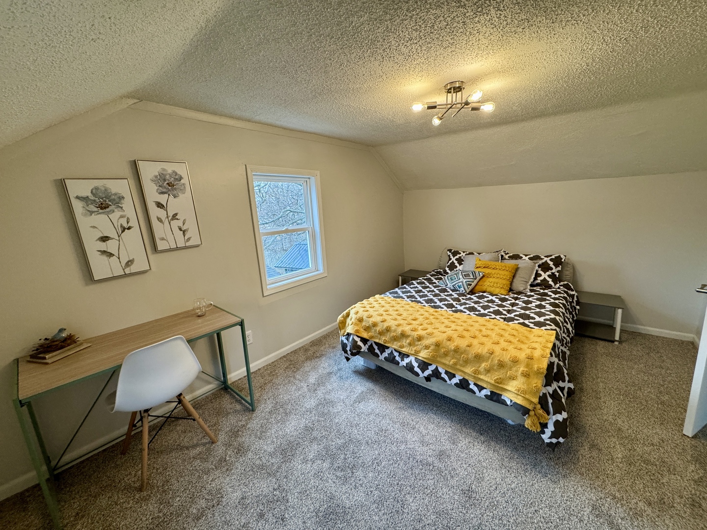 225 North Randolph Street Princeton, IL 61356 - Photo 18 of 22