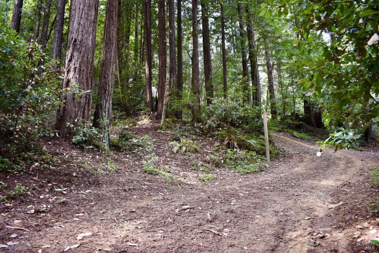18572 Old Monte Rio Road Guerneville, CA 95446 - Photo 11 of 30