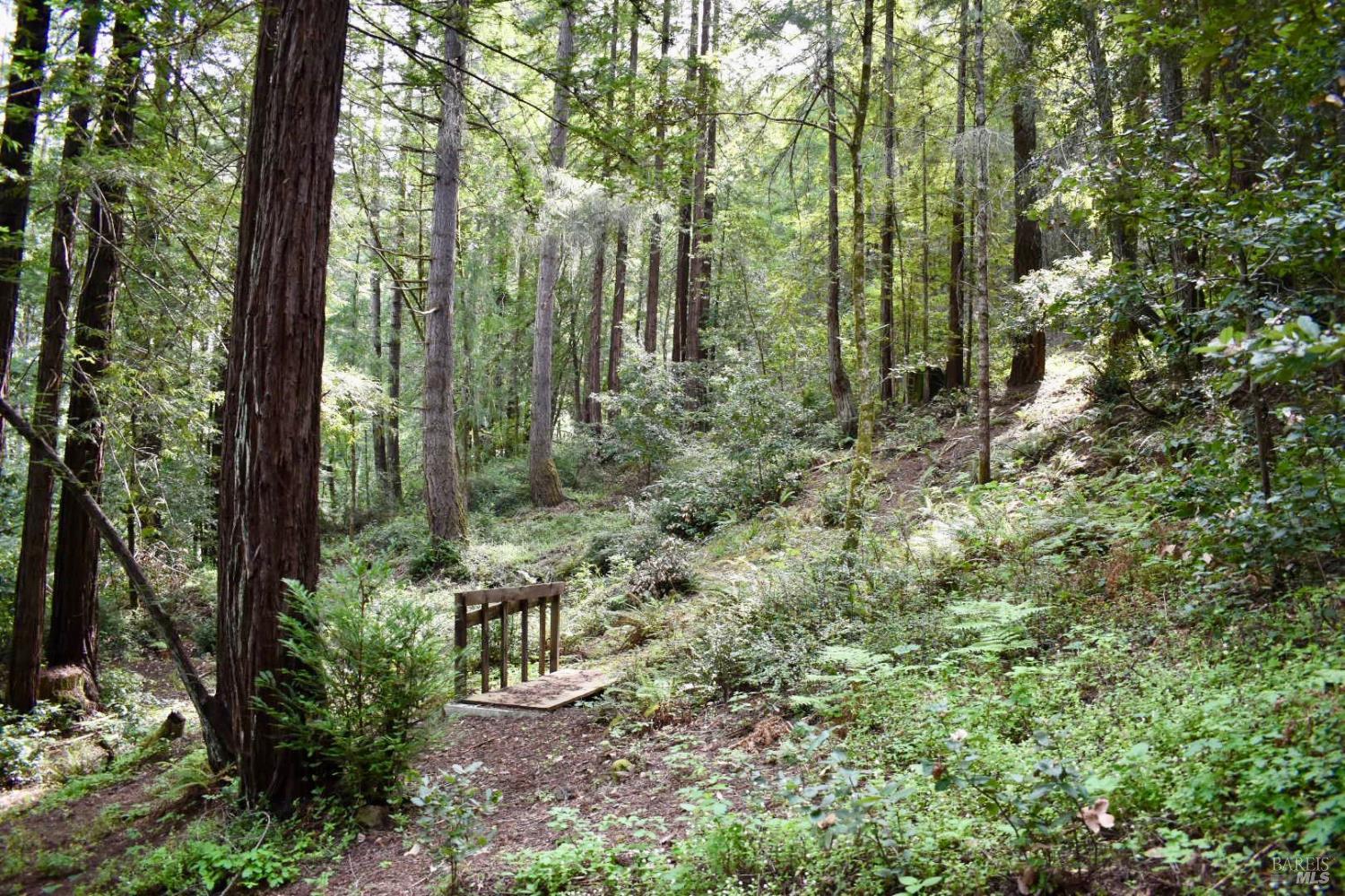 18572 Old Monte Rio Road Guerneville, CA 95446 - Photo 13 of 30