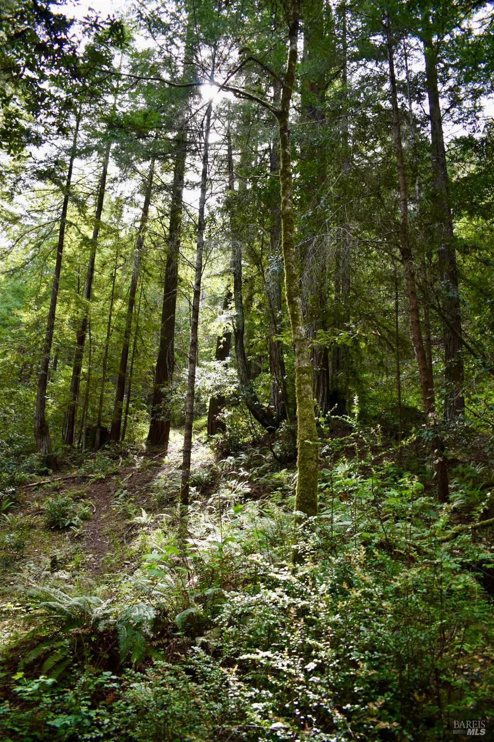 18572 Old Monte Rio Road Guerneville, CA 95446 - Photo 14 of 30