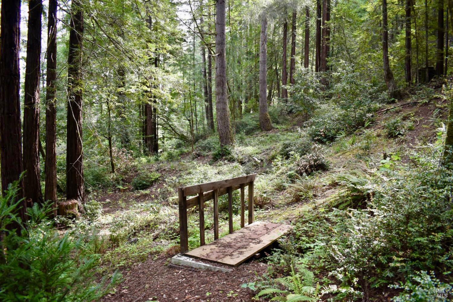 18572 Old Monte Rio Road Guerneville, CA 95446 - Photo 15 of 30