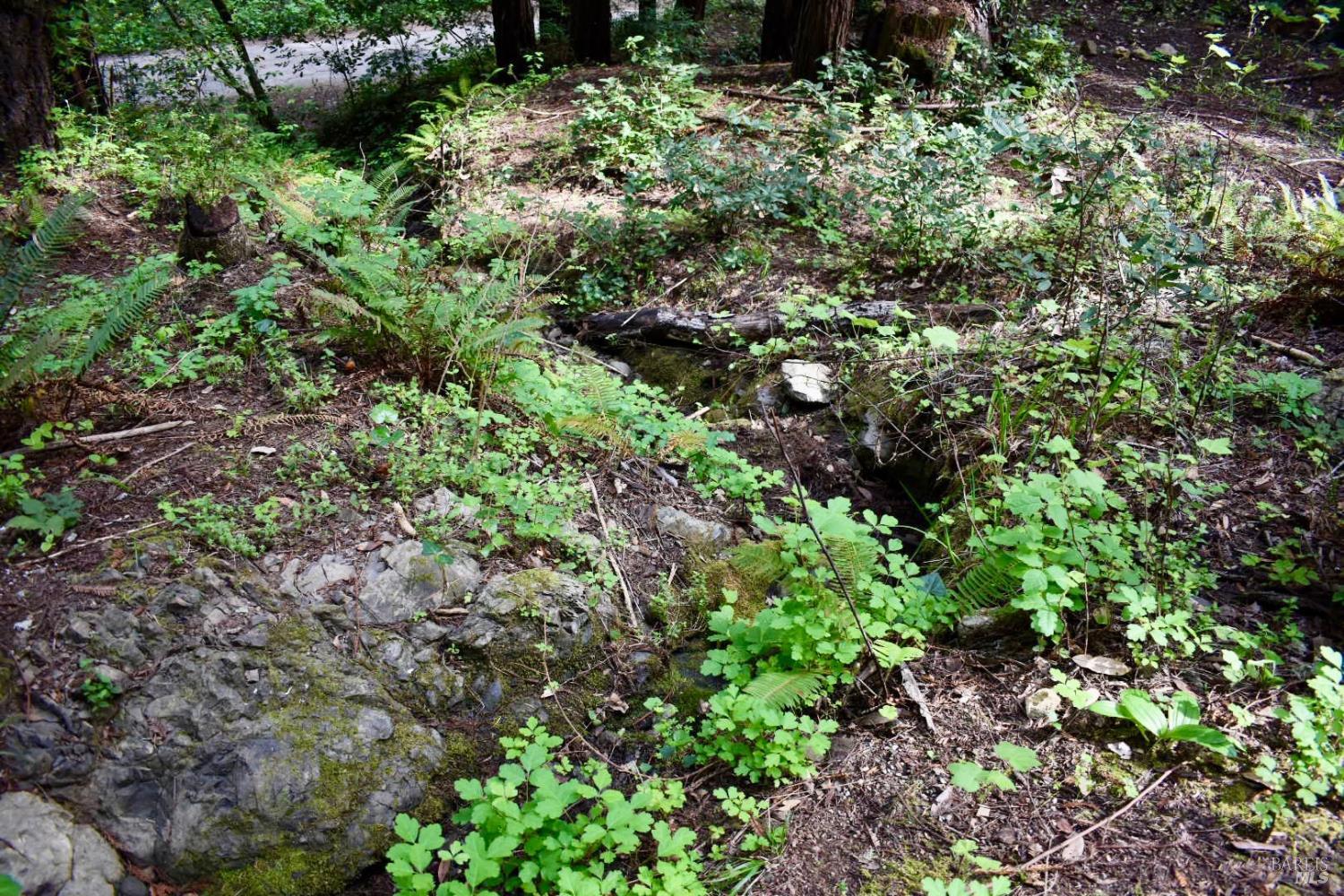 18572 Old Monte Rio Road Guerneville, CA 95446 - Photo 17 of 30