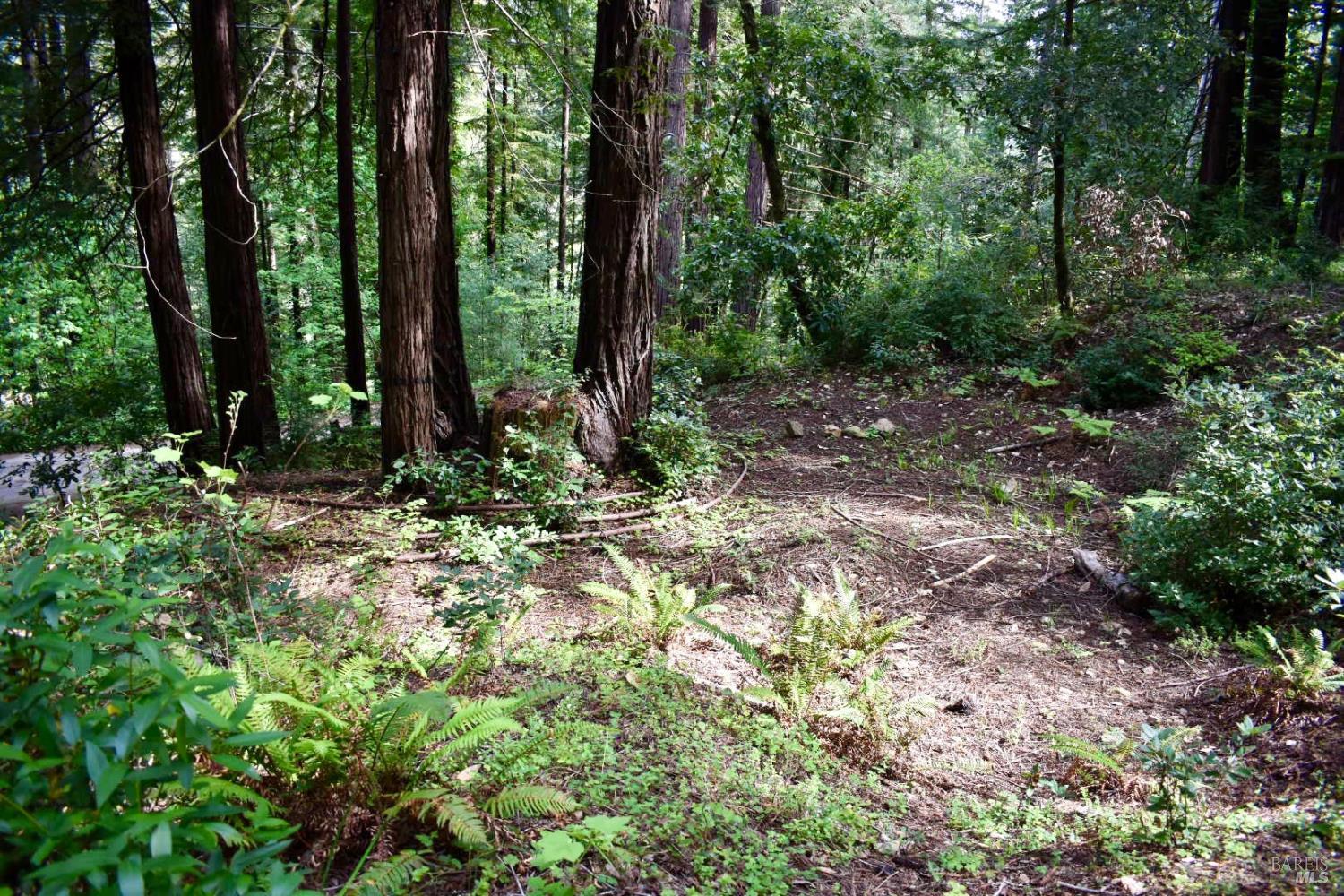 18572 Old Monte Rio Road Guerneville, CA 95446 - Photo 18 of 30