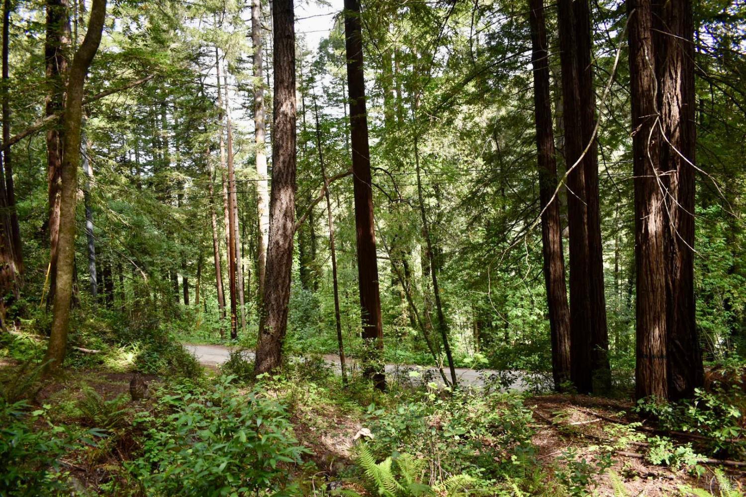 18572 Old Monte Rio Road Guerneville, CA 95446 - Photo 21 of 30