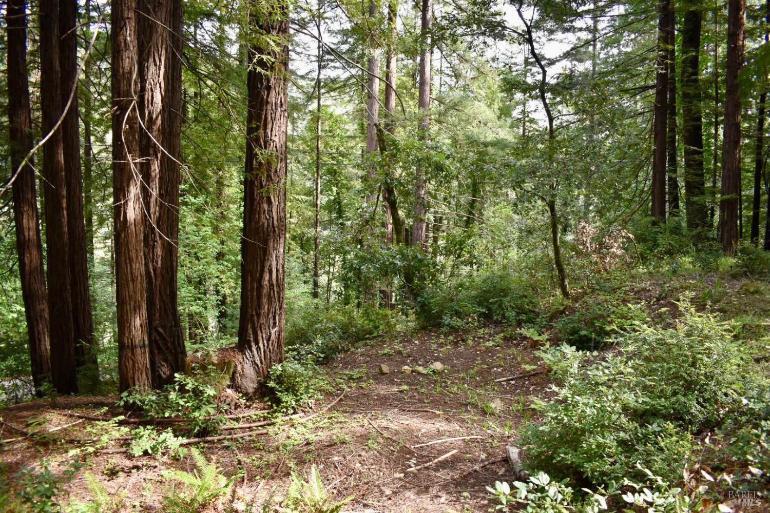 18572 Old Monte Rio Road Guerneville, CA 95446 - Photo 21 of 31