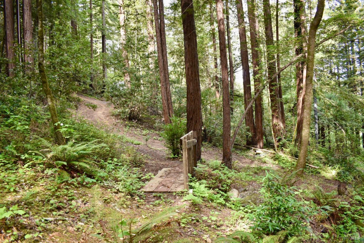 18572 Old Monte Rio Road Guerneville, CA 95446 - Photo 23 of 31