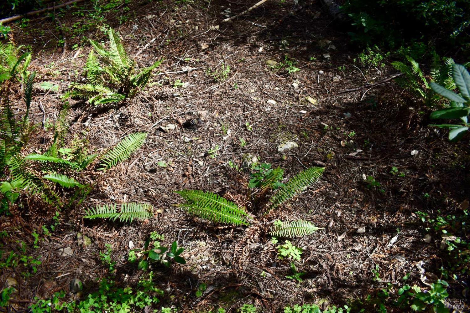 18572 Old Monte Rio Road Guerneville, CA 95446 - Photo 24 of 30