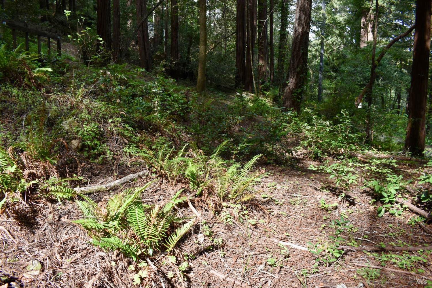 18572 Old Monte Rio Road Guerneville, CA 95446 - Photo 26 of 30