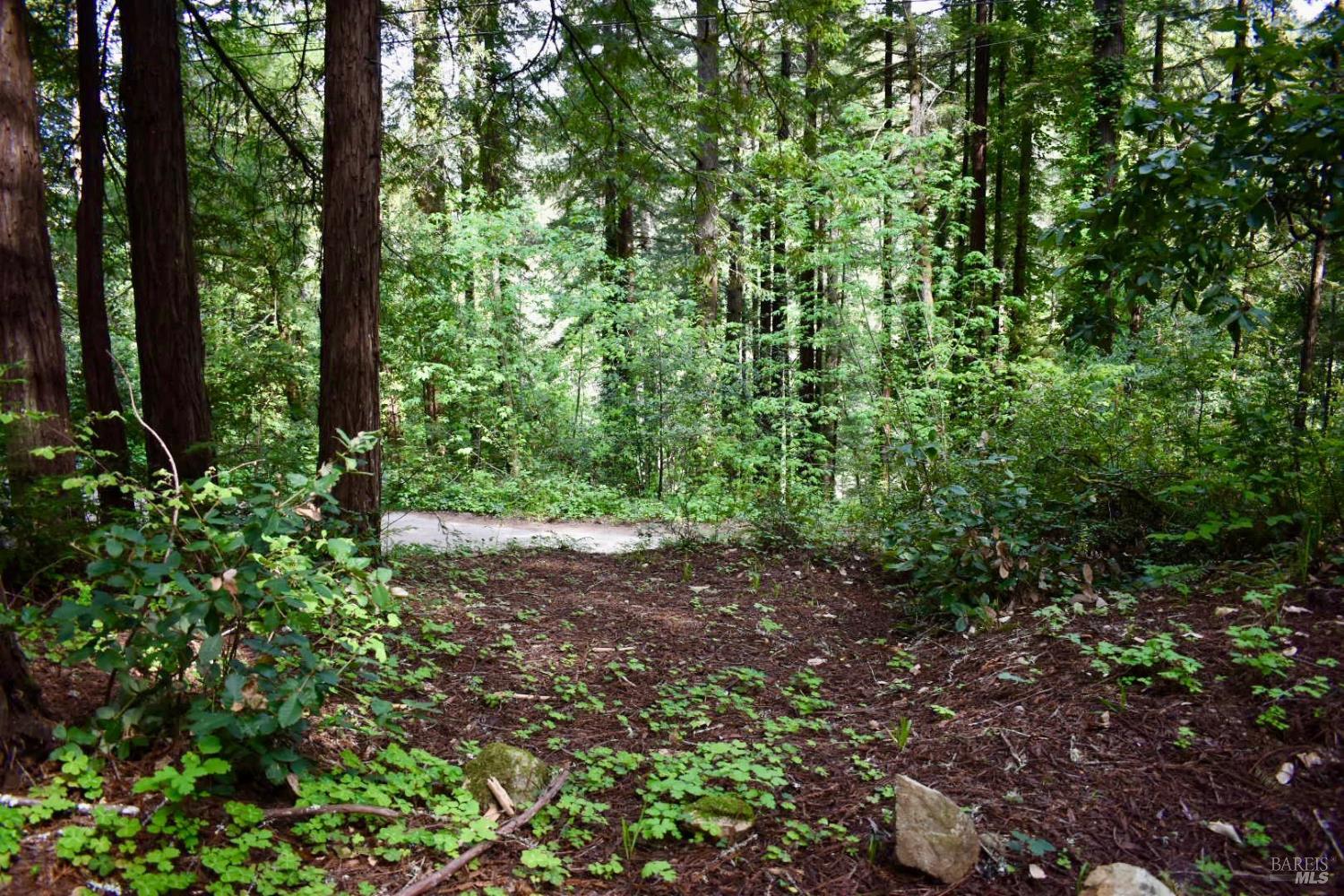 18572 Old Monte Rio Road Guerneville, CA 95446 - Photo 27 of 30