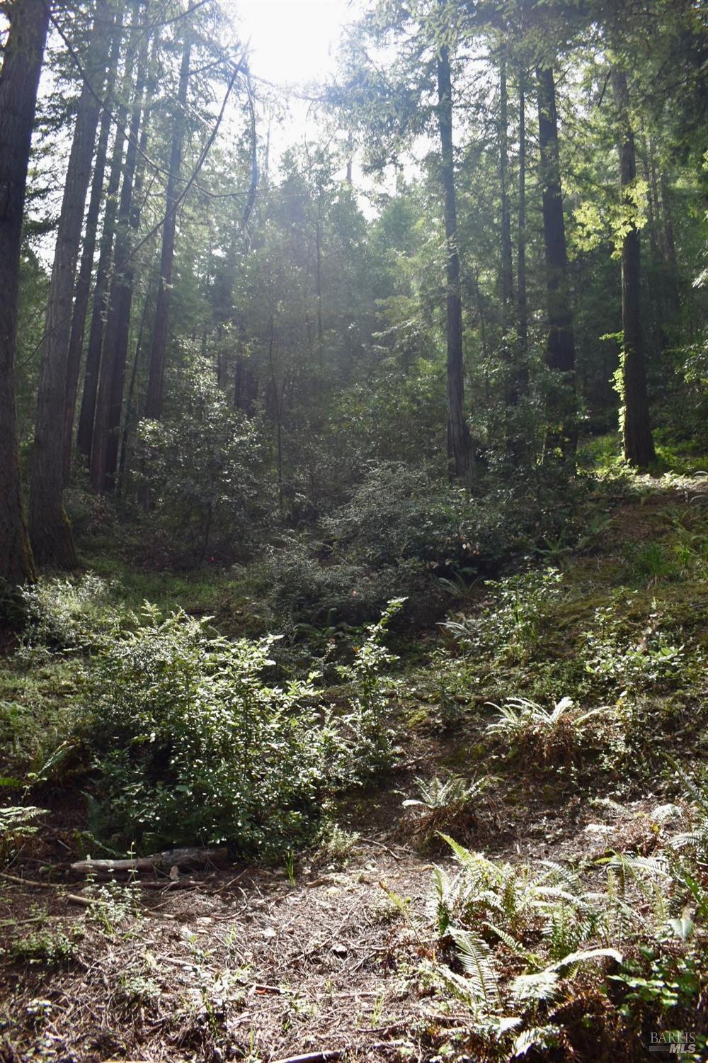 18572 Old Monte Rio Road Guerneville, CA 95446 - Photo 28 of 30