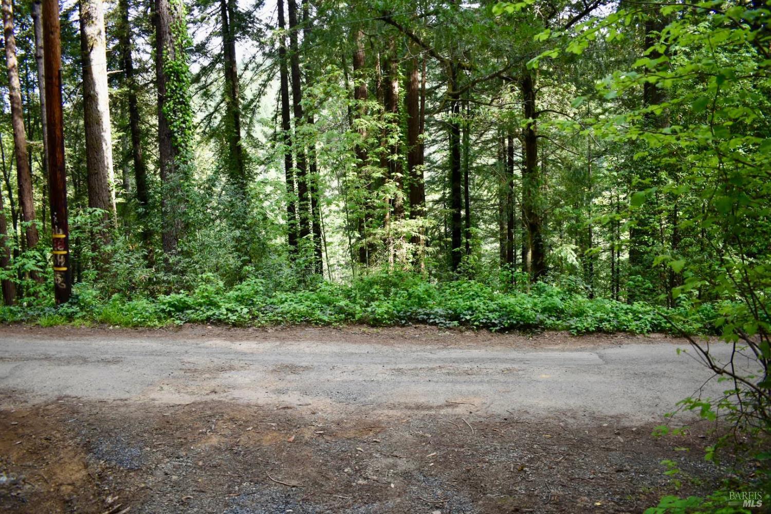 18572 Old Monte Rio Road Guerneville, CA 95446 - Photo 30 of 31