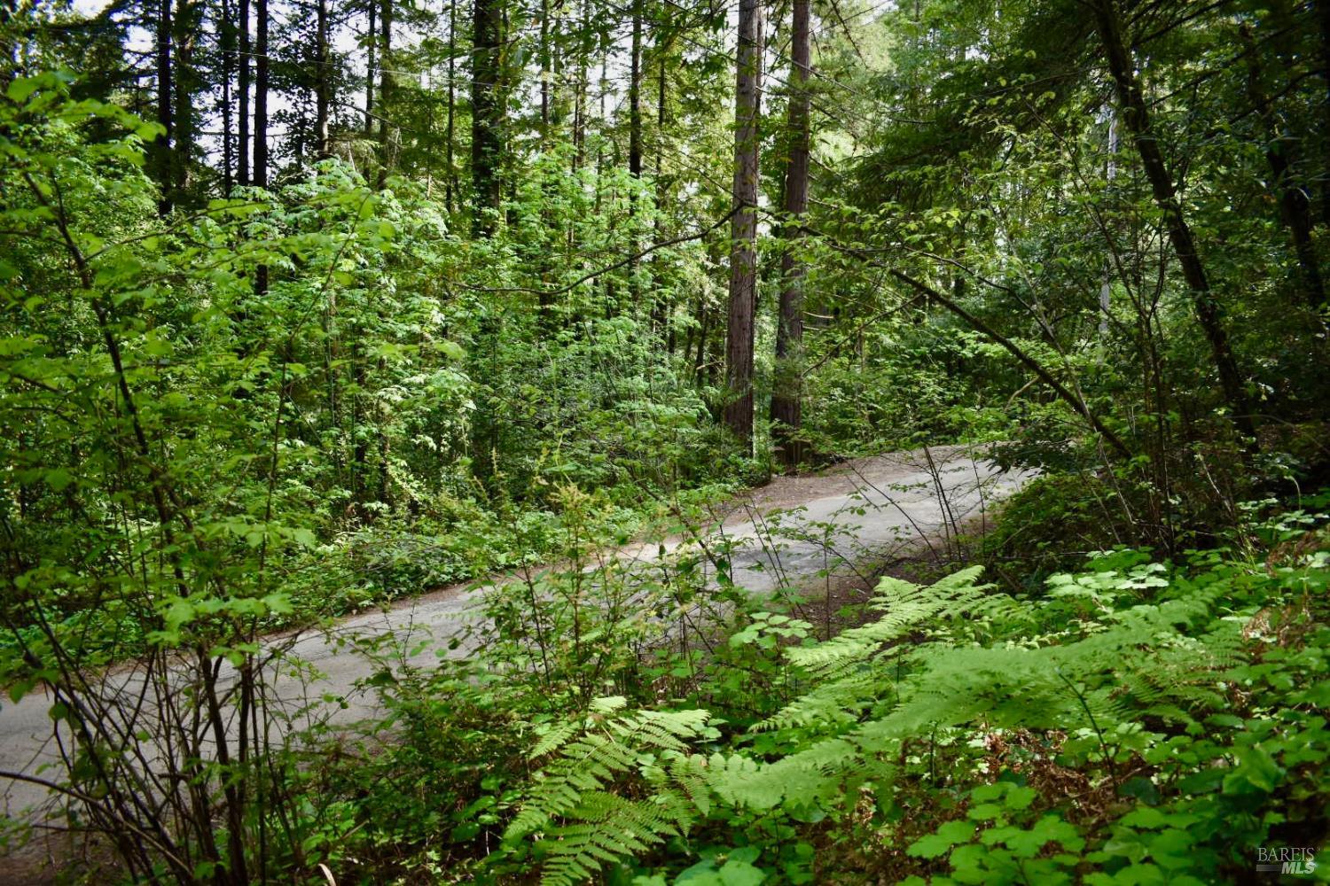 18572 Old Monte Rio Road Guerneville, CA 95446 - Photo 30 of 30