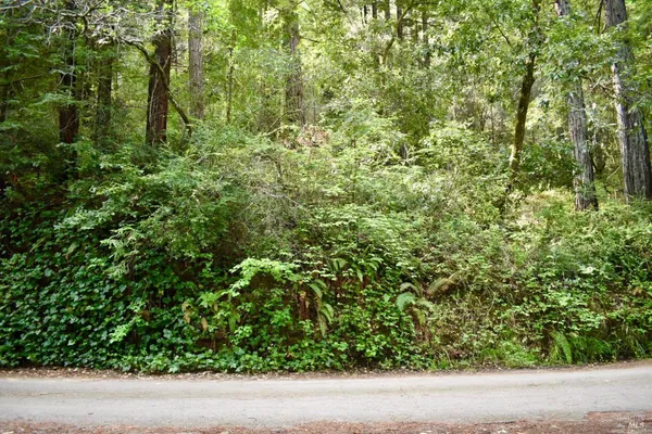$149,000 | 0 Old Monte Rio Road, Guerneville, CA 95446