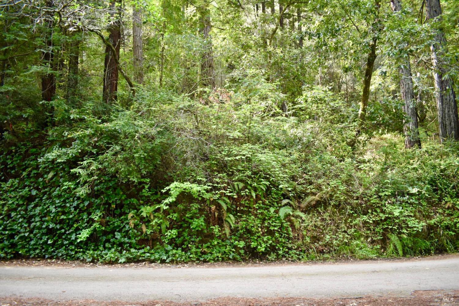 18572 Old Monte Rio Road Guerneville, CA 95446 - Photo 5 of 31