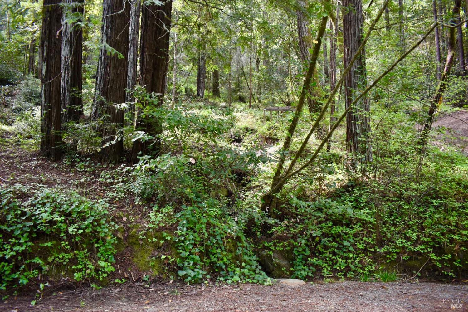 18572 Old Monte Rio Road Guerneville, CA 95446 - Photo 6 of 30