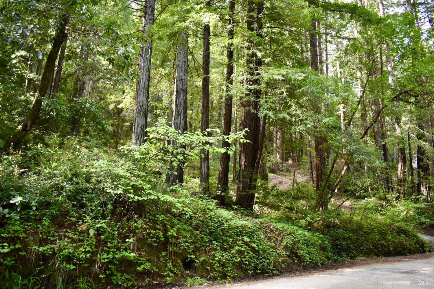 18572 Old Monte Rio Road Guerneville, CA 95446 - Photo 6 of 31