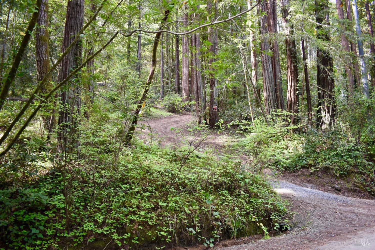 18572 Old Monte Rio Road Guerneville, CA 95446 - Photo 7 of 30