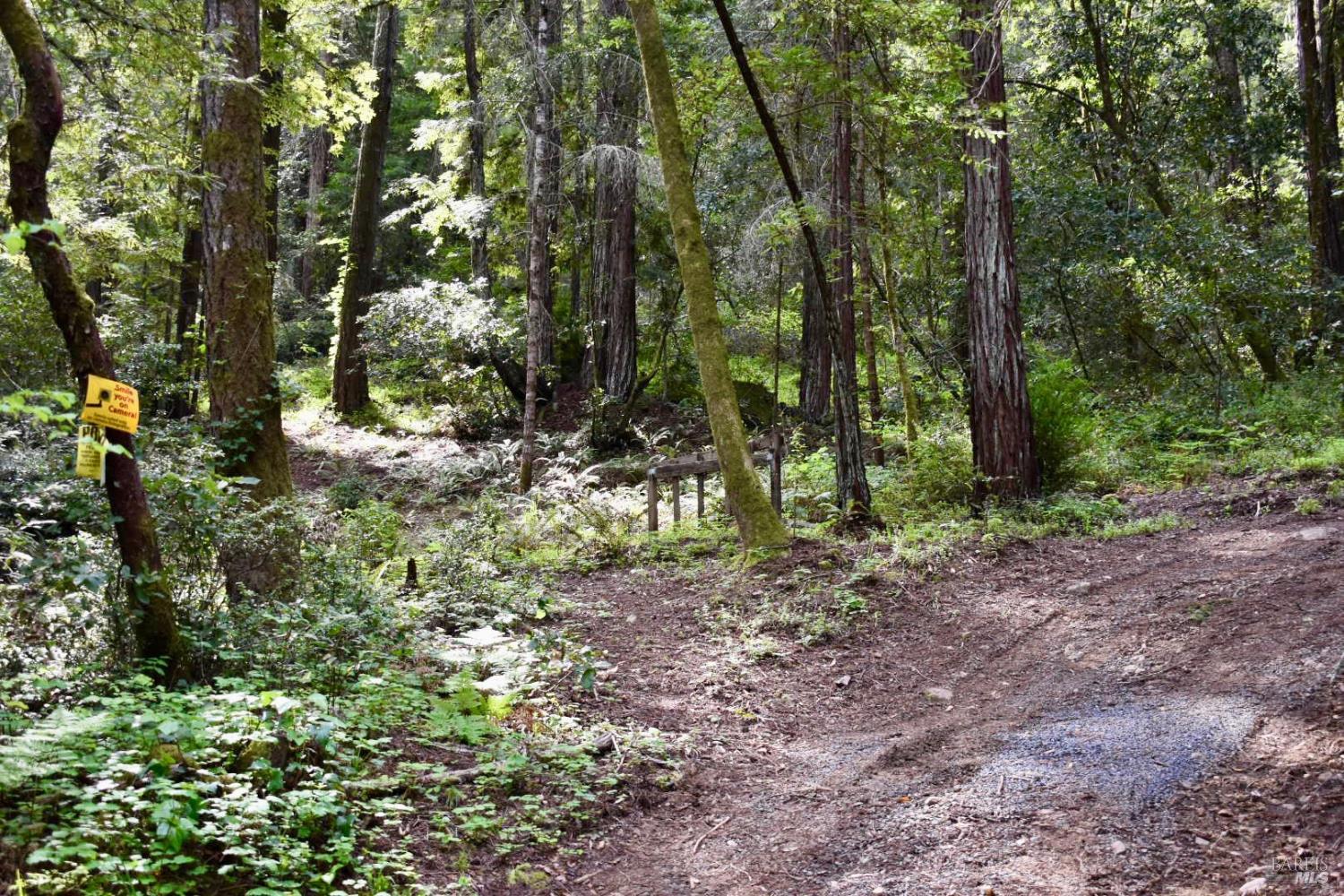 18572 Old Monte Rio Road Guerneville, CA 95446 - Photo 8 of 30