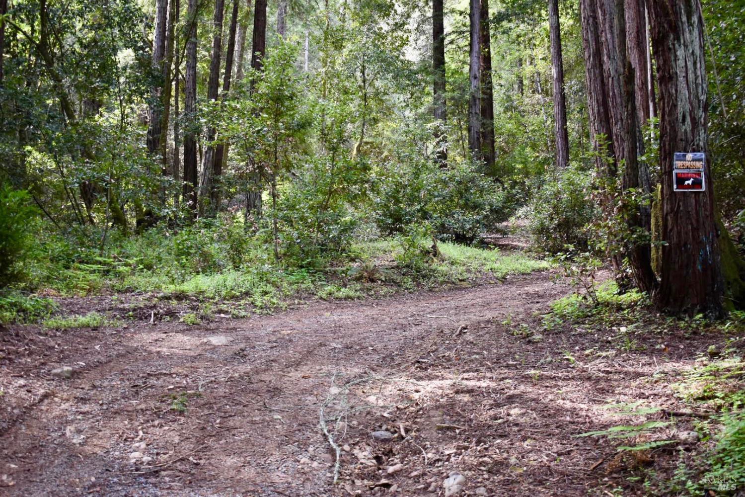 18572 Old Monte Rio Road Guerneville, CA 95446 - Photo 10 of 31