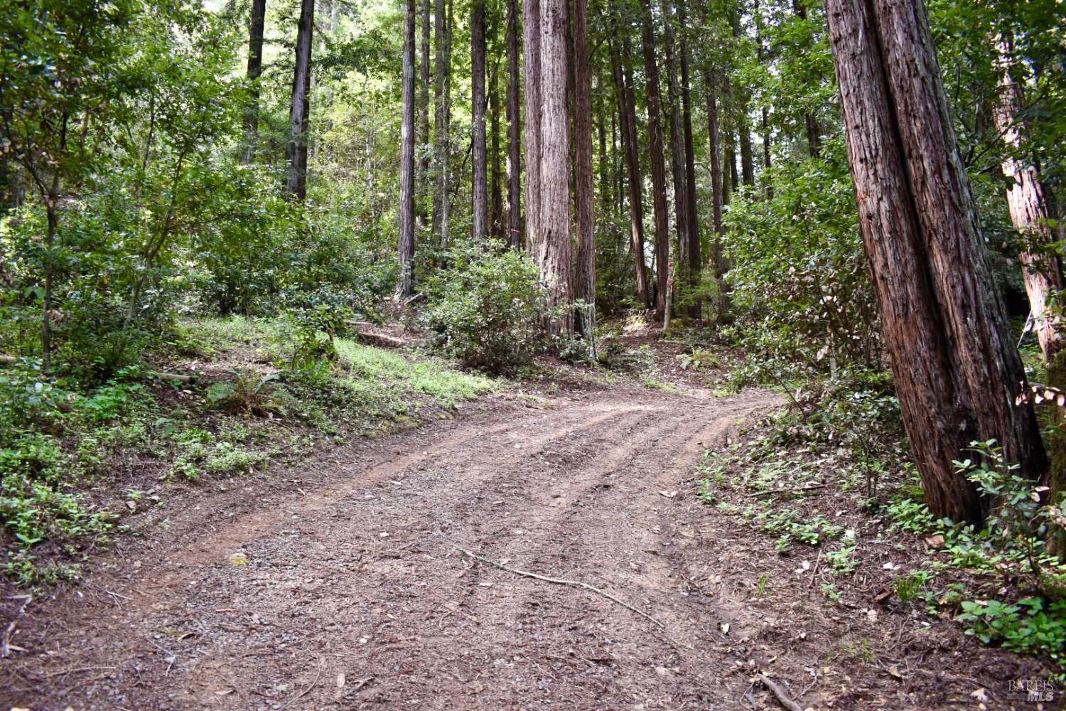 18572 Old Monte Rio Road Guerneville, CA 95446 - Photo 10 of 30
