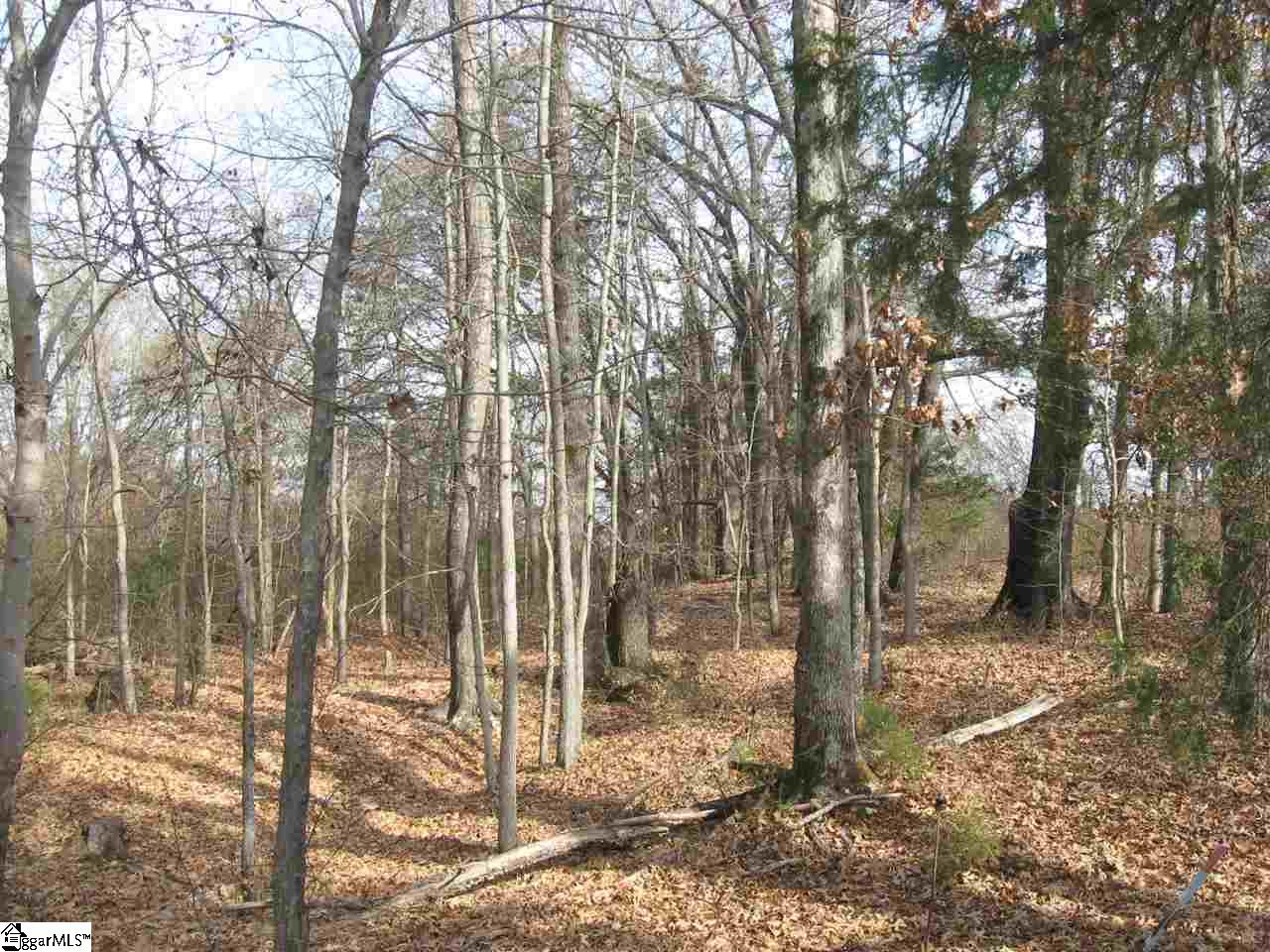 1 Fairview Church Road, Unit LOT 1 Fountain Inn, SC 29644 - Photo 14 of 20