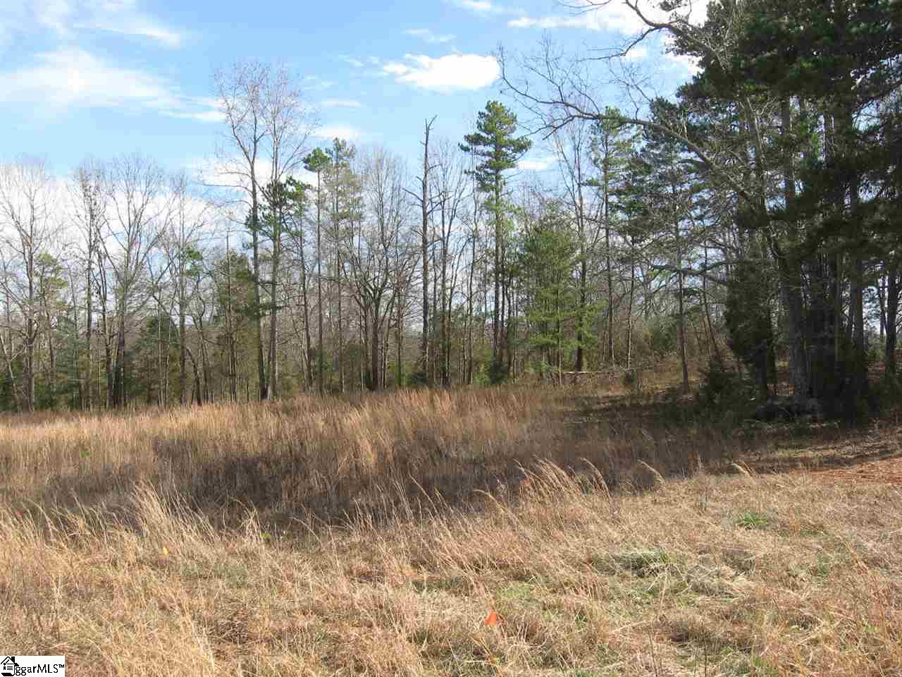 1 Fairview Church Road, Unit LOT 1 Fountain Inn, SC 29644 - Photo 19 of 20