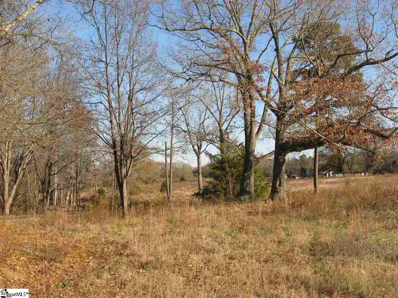 1 Fairview Church Road, Unit LOT 1 Fountain Inn, SC 29644 - Photo 6 of 20