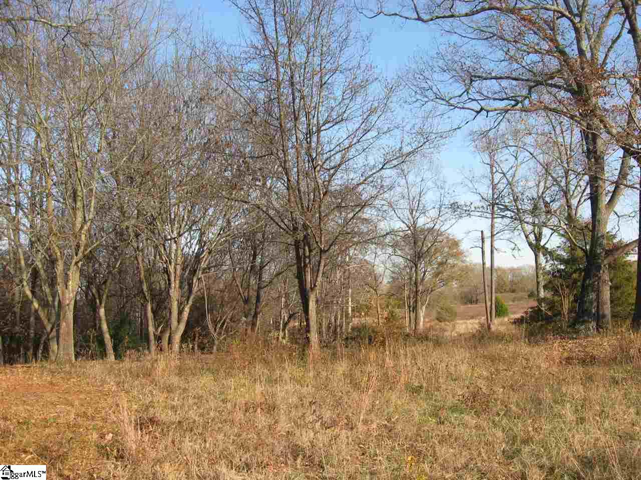 1 Fairview Church Road, Unit LOT 1 Fountain Inn, SC 29644 - Photo 8 of 20