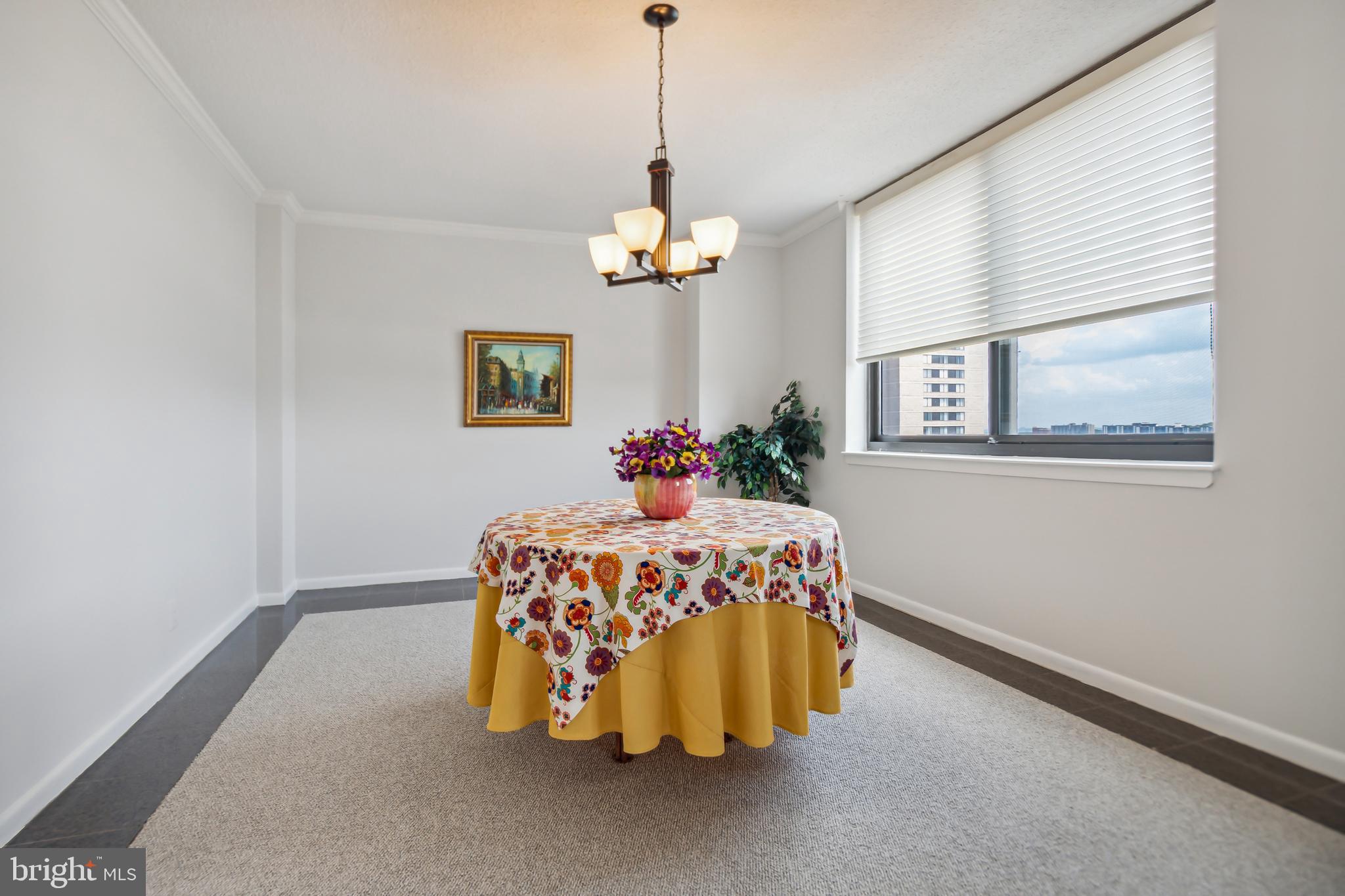 5501 Seminary Road, Unit 805S Falls Church, VA 22041 - Photo 13 of 48 Window with a view while you dine ,