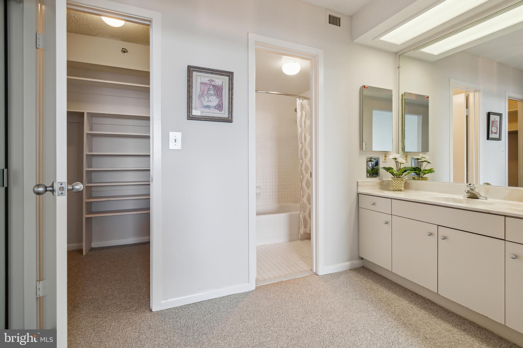5501 Seminary Road, Unit 805S Falls Church, VA 22041 - Photo 21 of 48 Updated Vanities with loads of closet space