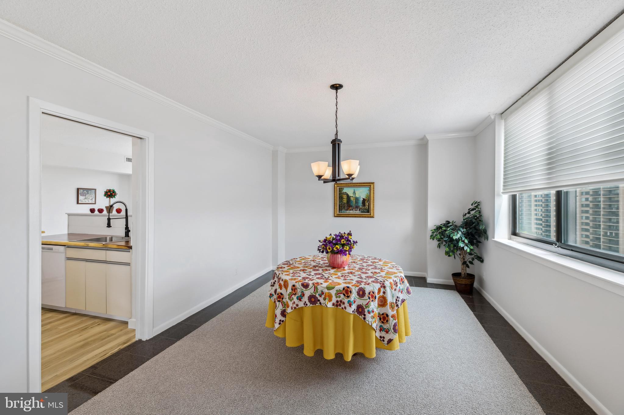 5501 Seminary Road, Unit 805S Falls Church, VA 22041 - Photo 40 of 48 Dining room opens to kit. & LR
7 liv. rm - Views