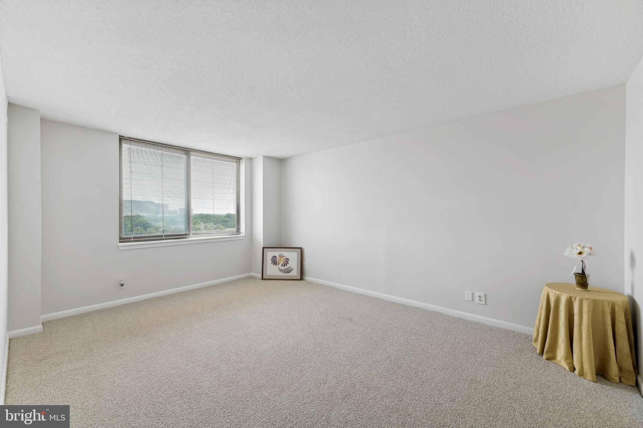 5501 Seminary Road, Unit 805S Falls Church, VA 22041 - Photo 41 of 48 Master Bedroom