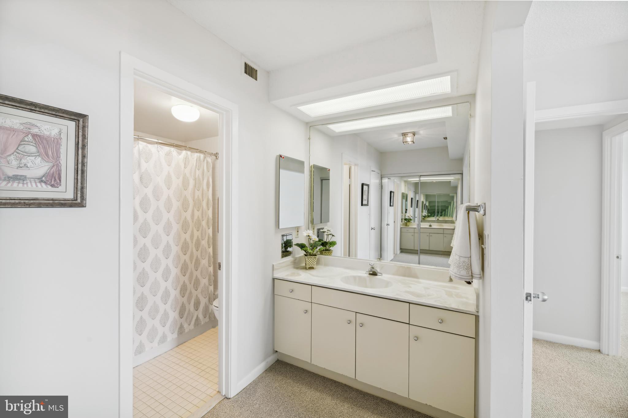 5501 Seminary Road, Unit 805S Falls Church, VA 22041 - Photo 42 of 48 Master Bedroom Vanity.