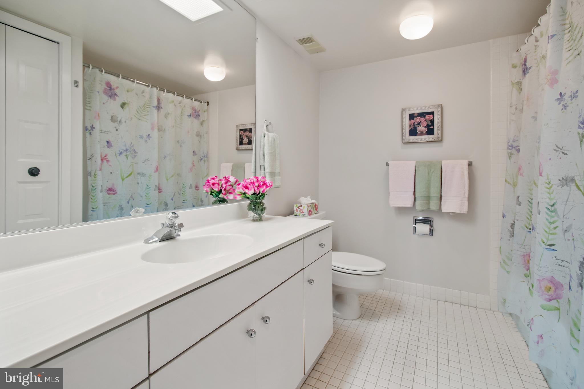 5501 Seminary Road, Unit 805S Falls Church, VA 22041 - Photo 44 of 48 2nd Bedroom Vanity