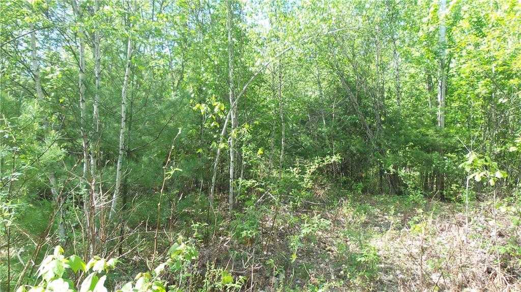 Lot 23-1 South Effingham Road Newfield, ME 04095 - Photo 2 of 13 Photo