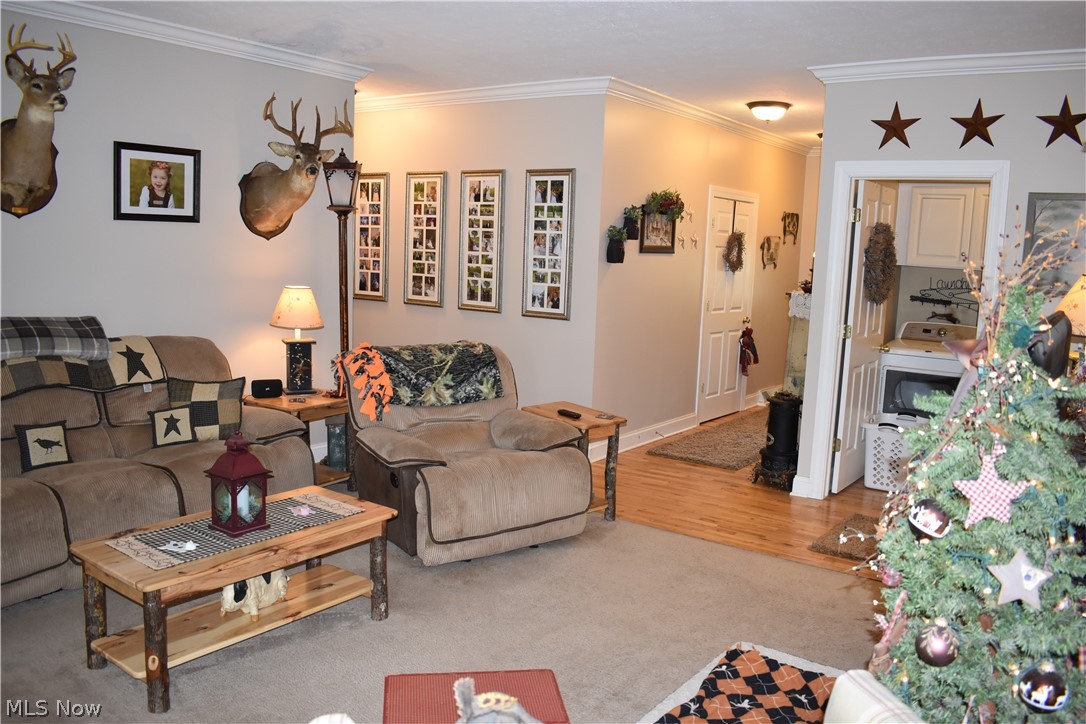 231 Rome Terrace Roaming Shores, OH 44084 - Photo 19 of 29 Gallery Image 19
